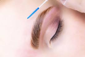 Eyebrow Lamination
